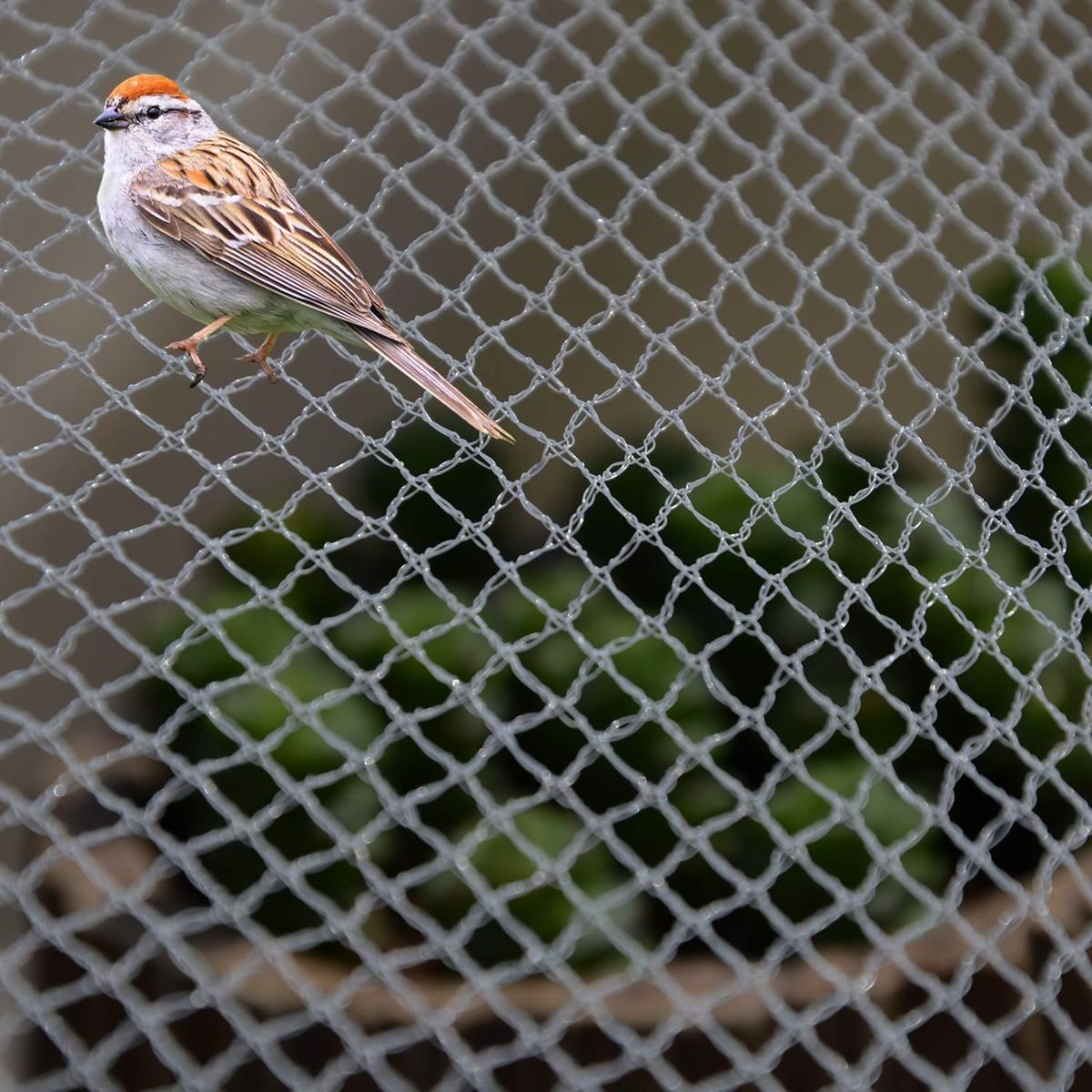 Bird nets on warehouse – bird exclusion, Kalyan Nagar - Tharak Enterprises Bangalore