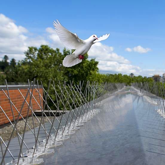Bird spikes installed on parapet wall – Bellandur apartment - Tharak Enterprises Bangalore