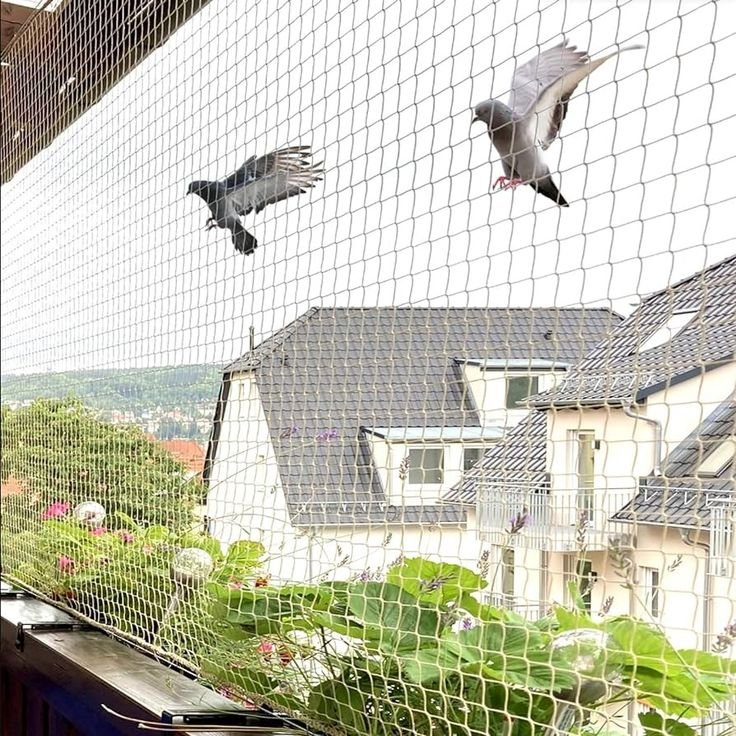 Pigeon safety nets installed on balcony in Bangalore - effective bird control by Tharak Enterprises