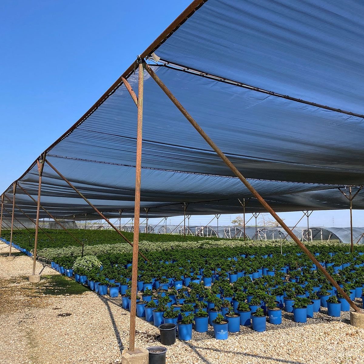 Shade net installation Bangalore - Tharak Enterprises garden and parking
